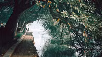 Một trăm năm, nhớ xưa nhìn nay