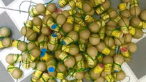 Thuê nhà nghỉ buôn bán pháo nổ
