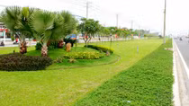 Hà Nội giảm 40% kinh phí duy trì công viên cây xanh