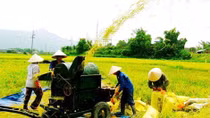 Nghiên cứu chính sách đặc thù xây dựng nông thôn mới ở tỉnh miền núi đặc biệt khó khăn