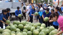 Để không còn cảnh “giải cứu” nông sản
