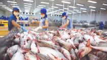 Thủy sản Việt Nam với kỳ vọng xuất khẩu 9 tỷ USD