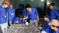 Nhiều doanh nghiệp ở Hải Phòng thiếu lao động trầm trọng