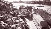 Miền dừa