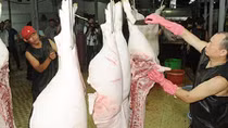 Nguồn cung thịt lợn giảm mạnh trong những tháng cuối năm