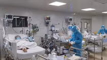 Một bệnh nhân nặng sắp được cai máy ECMO tại bệnh viện Bệnh Nhiệt đới