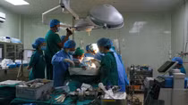 Đã có 66 bệnh nhân trong nước được thực hiện ghép gan 