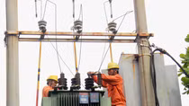 Đảm bảo cung cấp điện an toàn cho bầu cử tại 27 tỉnh miền Bắc