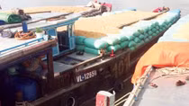 Thu giữ 300 tấn lúa nhập lậu