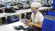 Quy mô doanh nghiệp có xu hướng nhỏ đi sau hội nhập