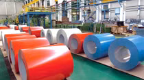 Thị trường tôn Việt Nam, những bất cập trong quản lý
