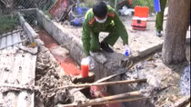 Kinh hãi nhổ lông vịt bằng... hóa chất