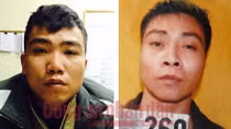 Hai anh em ruột cùng mua bán trái phép 799 bánh heroin