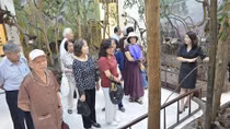 Giảm giá vé tham quan cho người cao tuổi