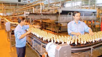 Doanh nghiệp lại kêu trời vì... văn bản