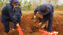 Tìm thấy 8 hài cốt liệt sĩ ở căn cứ An Nha, Quảng Trị