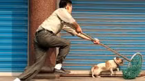 Trộm chó dùng ná và ớt bột chống trả người truy đuổi