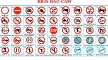 Nhanh, chậm và hạnh phúc