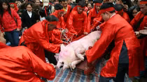 'Thay thế động vật sống bằng đồ mã, ý nghĩa không thay đổi'
