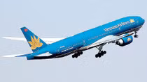 Vụ 'Vi Tran' lừa đảo vé máy bay tại Australia: Không loại trừ một nhóm người