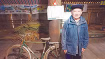 Chuyện ăn củ mài nuôi 9 người con thành tài ở Yên Bái