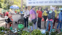 Lan rừng xuống phố