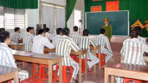 Những âm thanh giao tiếp của tình người