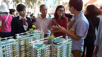 Căn hộ chung cư mini cho thuê sẽ dần thay thế phòng trọ