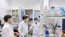 Bệnh Zika làm teo não trẻ sơ sinh có nguy cơ "đổ bộ" Việt Nam 