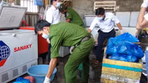 Gần nửa tấn da heo thối chuẩn bị mang đi tiêu thụ