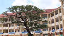 Đang làm rõ nguyên nhân một học học sinh lớp 10 bị ngã từ tầng 4 xuống đất