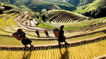 Yên Bái tổ chức Tuần Văn hóa, du lịch ‘Mùa vàng trên non’