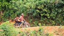 Rừng phòng hộ đầu nguồn Sông Vố bị “băm vằm”