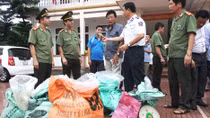 Thứ trưởng Lê Quý Vương khen thưởng các đơn vị khám phá vụ vận chuyển gần 300 kg thuốc nổ