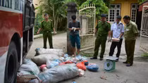 Gần 5 tạ nội tạng bốc mùi trên xe khách
