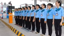 Những bóng hồng ‘xin rác’ trên đường cao tốc