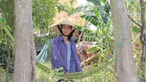 Nữ sinh lớp 8 đốt hàng loạt cây rơm làm cả làng khiếp đảm