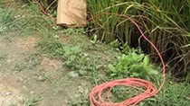 Thiệt mạng vì dính điện bẫy chuột