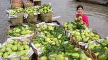 Chú trọng phát triển du lịch nông nghiệp