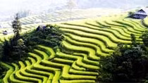 Du lịch Lào Cai 2015: Nhiều chương trình độc đáo, hấp dẫn du khách