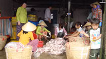Phóng sự truyền hình của ANTV lọt chung kết giải báo chí “Trao quyền cho phụ nữ” 2015 khu vực châu Á- Thái Bình Dương