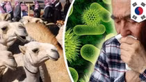 Hội chứng MERS lây lan từ Hàn Quốc đến Trung Quốc