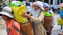 Nhiều hoạt động 'Ấm áp tình Xuân' 2015