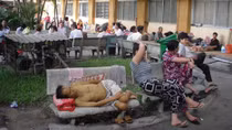Loạn “lương y” bàn phím: Người bệnh đang tự giết mình