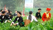 Lễ hội 'Hương sắc Trà Xuân' tại Thái Nguyên