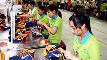 Cả nước có hơn 784.000 lao động được tạo việc làm