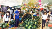 Siêu thị nỗ lực tiêu thụ dưa hấu giúp nông dân miền Trung