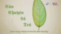 8h15 phút tối - Chương trình tivi độc đáo 