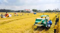 Một nắng hai sương và giấc mơ ngàn tỉ