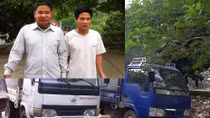 Hai anh em thuê ô tô đi trộm trâu, bò